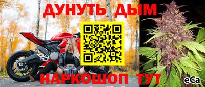 ПСИЛОЦИБИНОВЫЕ ГРИБЫ Пугачёв
